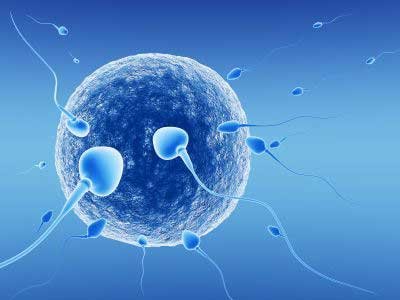 مركز علاج العقم في عمان